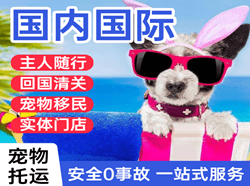 右旗巴丹吉林空运国际宠物托运 【国